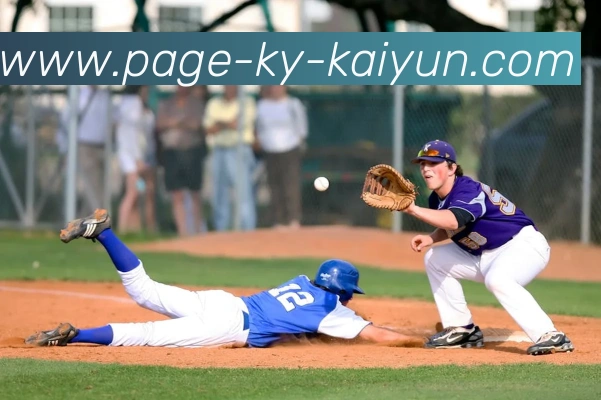 开云app平台生态图