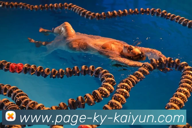 开云app全站App 开云app全站App